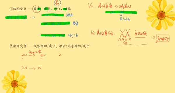 2023高三周芳煜生物暑秋班 视频截图