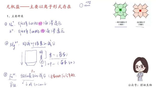 2023高三周芳煜生物暑秋班 视频截图