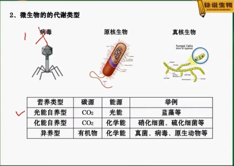 2021徐京生物一轮 视频截图