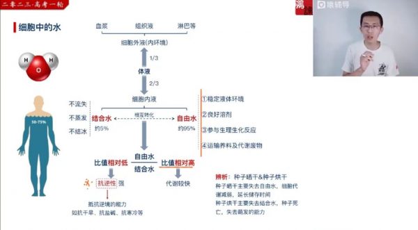 2023高三生物张鹏一轮暑假班 视频截图