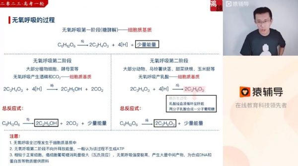 2023高三生物张鹏一轮暑假班 视频截图