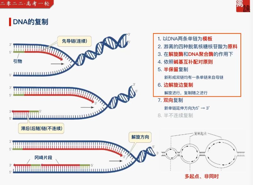 2022高三生物张鹏A+班 视频截图