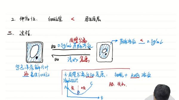 2024高三生物万猛高考一轮暑假班 视频截图