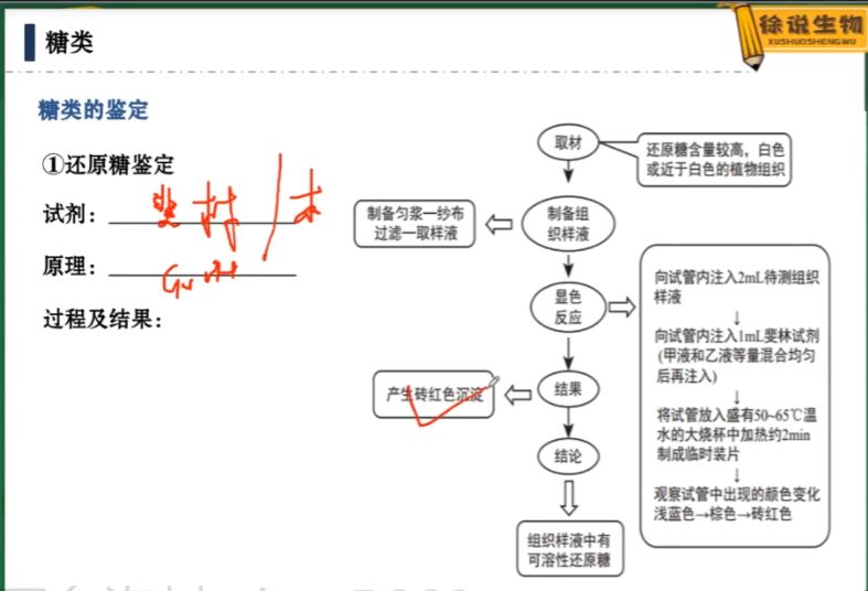 2022高考徐京生物全国版 视频截图