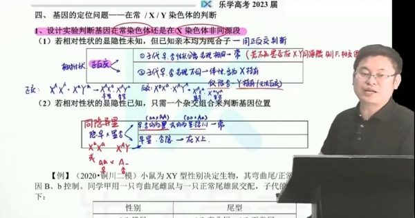 2023高三生物任春磊网课 视频截图