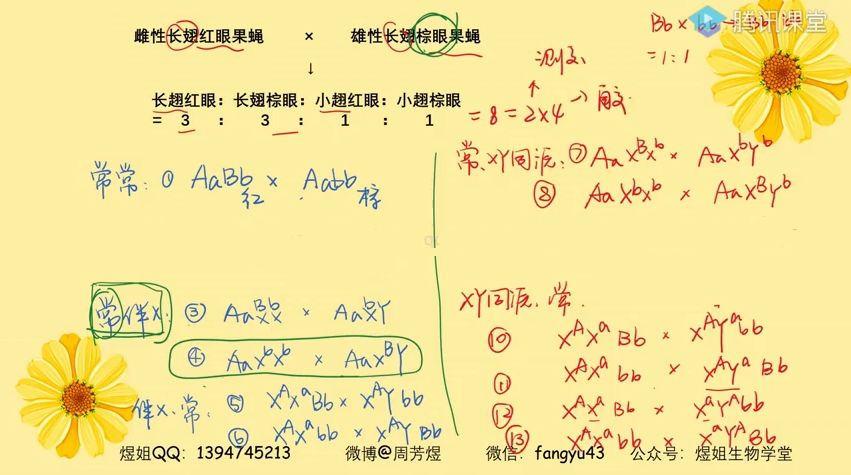 2021煜姐一轮复习课程 视频截图