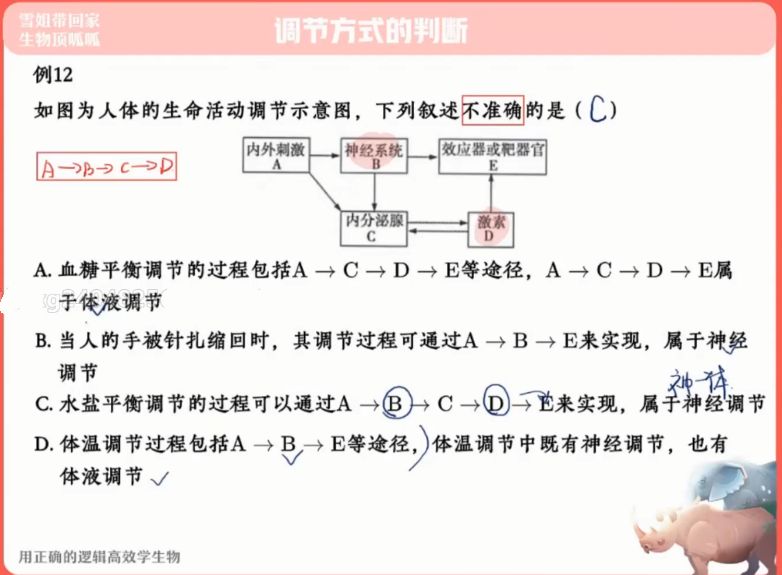 2022杨雪高二生物秋季班 视频截图